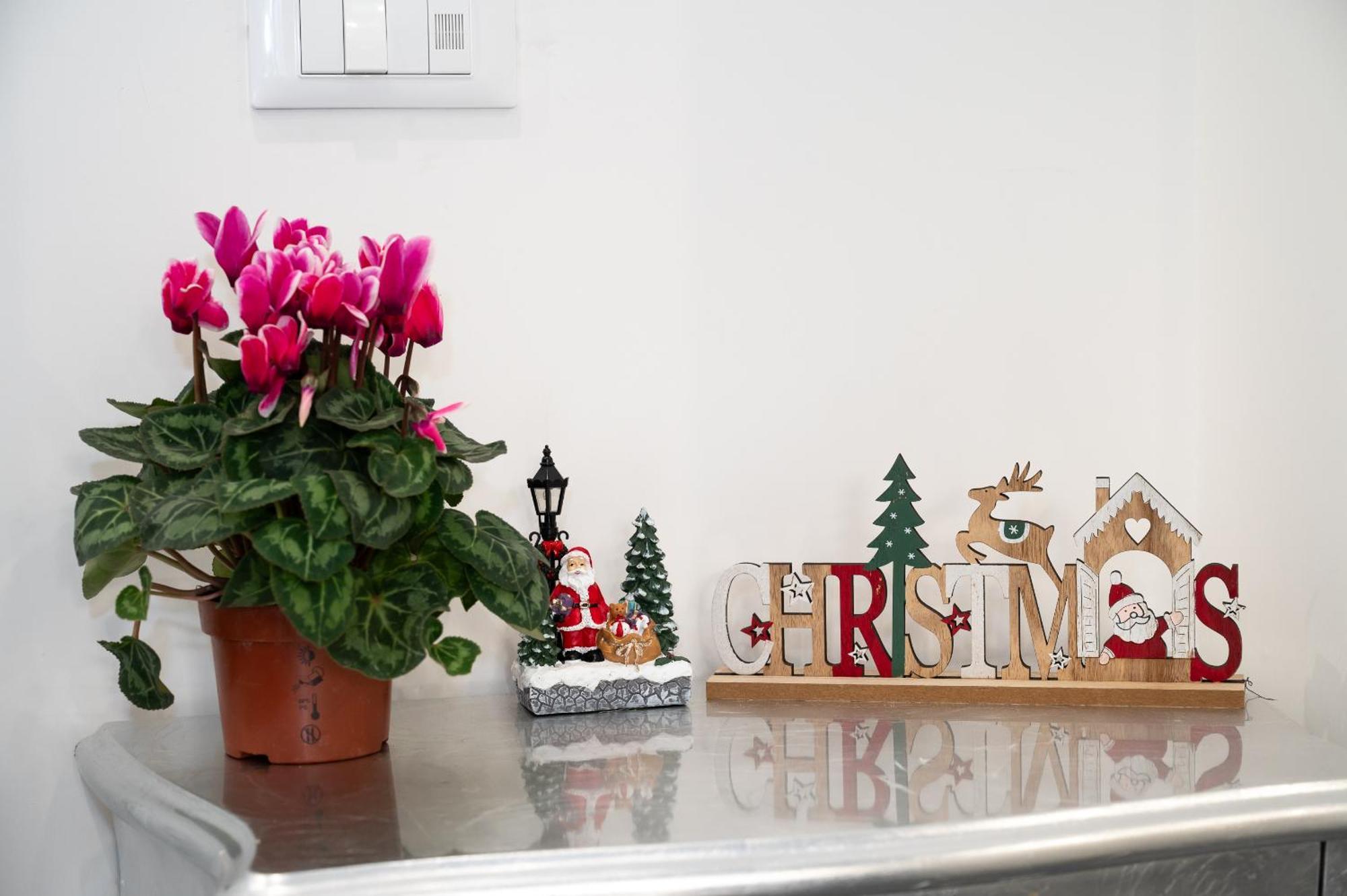 St. Peter Boutique Apt Roma Eksteriør bilde